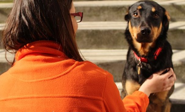 Bénévole avec un chien